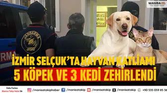 İzmir Selçuk’ta Hayvan Katliamı: 5 Köpek ve 3 Kedi Zehirlendi