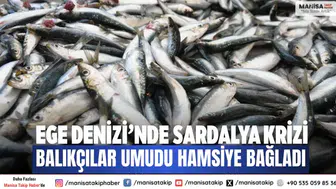 Ege Denizi’nde sardalya krizi Balıkçılar umudu hamsiye bağladı