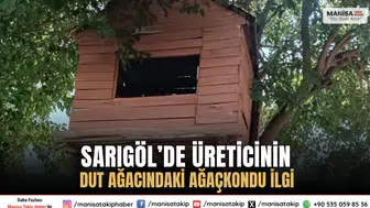Sarıgöl’de Üreticinin Dut Ağacındaki Ağaçkondu İlgi Topluyor