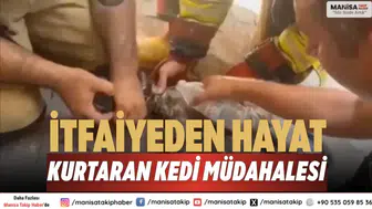 Manisa’da İtfaiyeden Kediyi Hayata Döndüren Müdahale