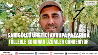 Sarıgöllü Üretici Avrupa Pazarına Tüllerle Korunan Üzümler Gönderiyor