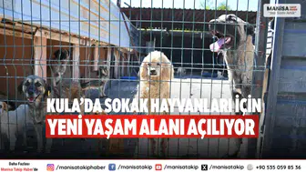 Kula’da sokak hayvanları için yeni yaşam alanı açılıyor