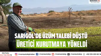Sarıgöl’de Üzüm Talebi Düştü Üretici Kurutmaya Yöneldi
