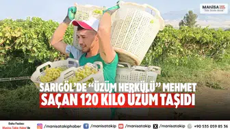 Sarıgöl’de “Üzüm Herkülü” Mehmet Saçan 120 Kilo Üzüm Taşıdı