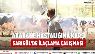 Akabane Hastalığına Karşı Sarıgöl’de İlaçlama Çalışması