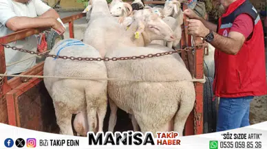 Sarıgöl’de Kurban Bayramı Öncesi Hayvan Pazarı Denetlendi