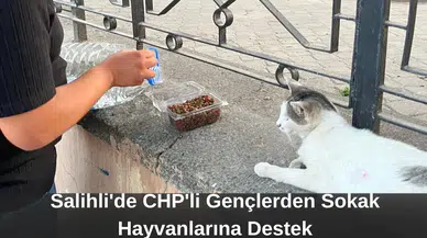 Salihli'de CHP'li Gençlerden Sokak Hayvanlarına Destek