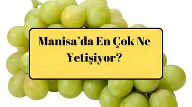 Manisa’da En Çok Ne Yetişiyor?