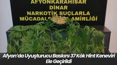 Afyon’da Uyuşturucu Baskını 37 Kök Hint Keneviri Ele Geçirildi