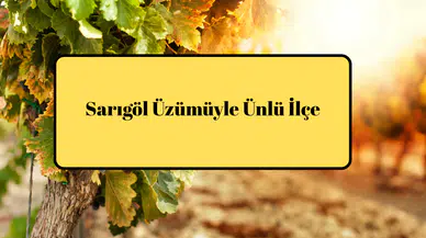 Sarıgöl Üzümüyle Ünlü İlçe