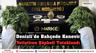 Denizli’de Bahçede Kenevir Yetiştiren Şüpheli Tutuklandı