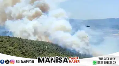 Kontrol Altına Alınan Yangın Tekrar Başladı: Alevlere Müdahale Sürüyor