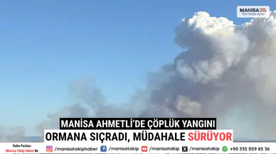 Manisa Ahmetli’de Çöplük Yangını Ormana Sıçradı, Müdahale Sürüyor