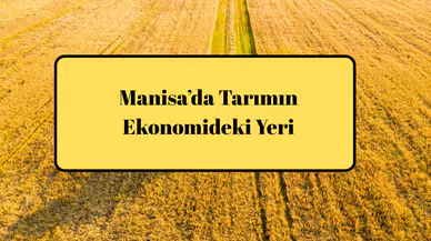 Manisa’da Tarımın Ekonomideki Yeri