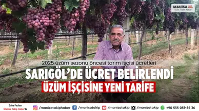 Sarıgöl’de Ücret Belirlendi Üzüm İşçisine Yeni Tarife