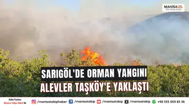Sarıgöl'de Orman Yangını Alevler Taşköy'e Yaklaştı