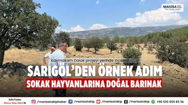 Sarıgöl’den Örnek Adım Sokak Hayvanlarına Doğal Barınak