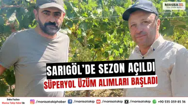 Sarıgöl’de Sezon Açıldı Süperyol Üzüm Alımları Başladı