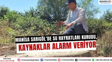Manisa Sarıgöl’de su hayratları kurudu, kaynaklar alarm veriyor