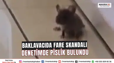 Baklavacıda Fare Skandalı Denetimde Pislik Bulundu