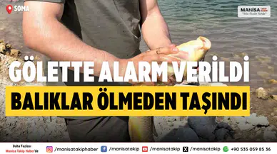 Soma’da Kuraklığa Karşı Ortak Mücadele: Balıklar Güvenli Gölete Taşındı