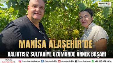 Manisa Alaşehir’de Kalıntısız Sultaniye Üzümünde Örnek Başarı