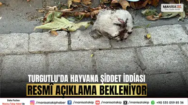 Turgutlu’da Hayvana Şiddet İddiası: Resmî Açıklama Bekleniyor