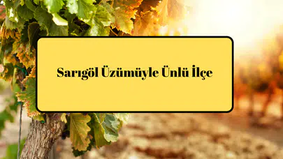 Sarıgöl Üzümüyle Ünlü İlçe