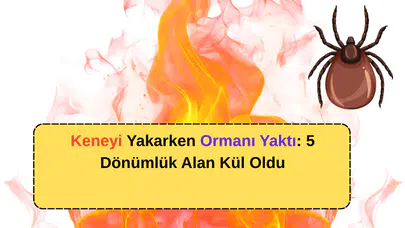 Keneyi Yakarken Ormanı Yaktı: 5 Dönümlük Alan Kül Oldu