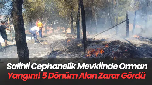 Salihli Cephanelik Mevkiinde Orman Yangını! 5 Dönüm Alan Zarar Gördü