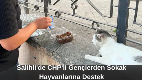 Salihli'de CHP'li Gençlerden Sokak Hayvanlarına Destek