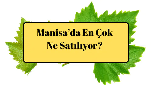 Manisa En Çok Ne Satılıyor?