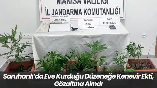 Saruhanlı’da Eve Kurduğu Düzeneğe Kenevir Ekti, Gözaltına Alındı