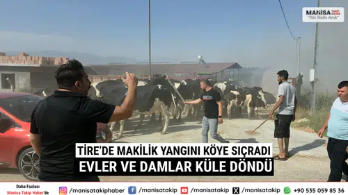Tire’de Makilik Yangını Köye Sıçradı Evler ve Damlar Küle Döndü