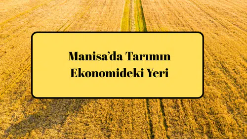Manisa’da Tarımın Ekonomideki Yeri