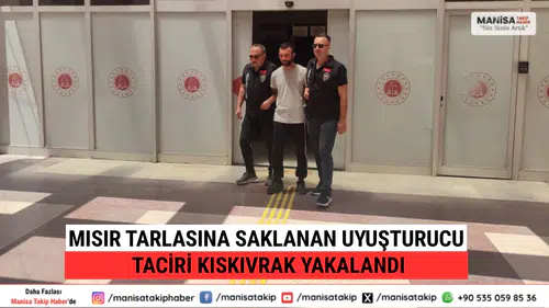 Mısır Tarlasına Saklanan Uyuşturucu Taciri Kıskıvrak Yakalandı