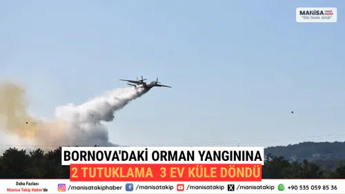 Bornova'daki Orman Yangınına 2 Tutuklama 3 Ev Küle Döndü