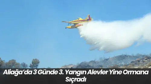 Aliağa’da 3 Günde 3. Yangın: Alevler Yine Ormana Sıçradı