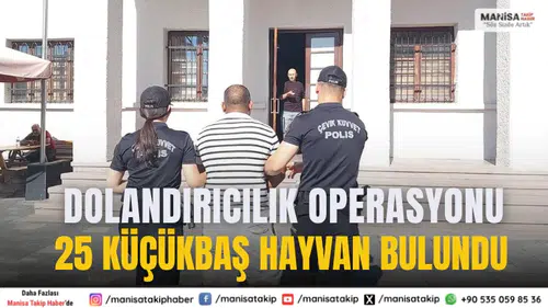 Manisa’da Bulundu Dolandırıcılık Operasyonu: 25 Küçükbaş Hayvan