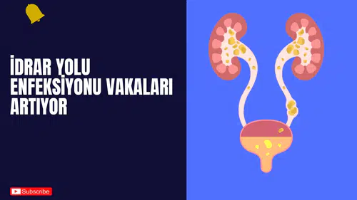 İdrar Yolu Enfeksiyonu Vakaları Artıyor