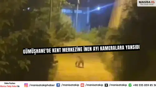 Gümüşhane'de Kent Merkezine İnen Ayı Kameralara Yansıdı