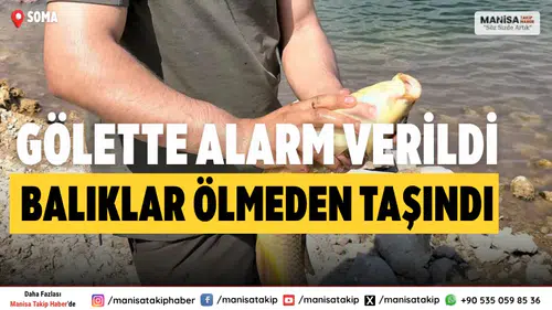 Soma’da Kuraklığa Karşı Ortak Mücadele: Balıklar Güvenli Gölete Taşındı
