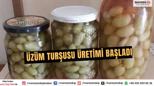 Sarıgöl Üzüm Kooperatifi Mevlana Üzümünden Turşu Üretti
