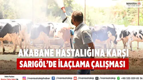 Akabane Hastalığına Karşı Sarıgöl’de İlaçlama Çalışması
