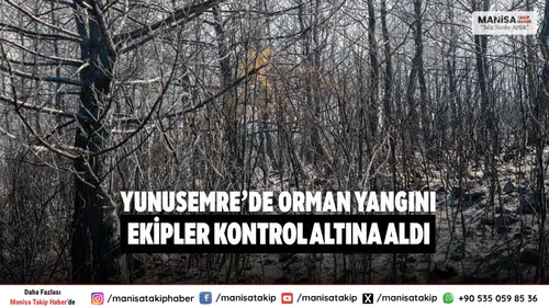 Manisa Yunusemre orman yangını kontrol altına alındı