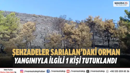Şehzadeler Sarıalan’daki Orman Yangınıyla İlgili 1 Kişi Tutuklandı