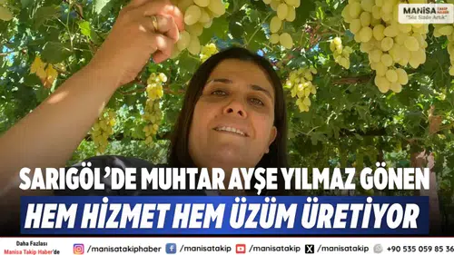 Sarıgöl’de Muhtar Ayşe Yılmaz Gönen Hem Hizmet Hem Üzüm Üretiyor