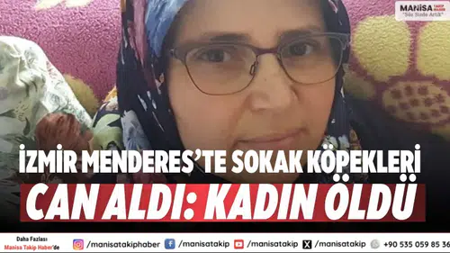 İzmir Menderes’te sokak köpekleri can aldı: Kadın öldü