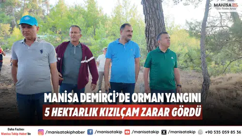 Manisa Demirci’de Orman Yangını: 5 Hektarlık Kızılçam Zarar Gördü