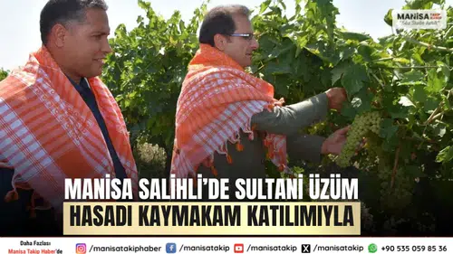 Manisa Salihli’de Sultani Üzüm Hasadı Kaymakam Katılımıyla